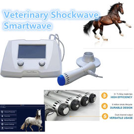 ESWT الخيول بالمستخدمين آلة 1HZ - 22HZ بالمستخدمين آلة للعيادة البيطرية