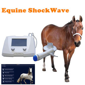 ESWT الخيول بالمستخدمين آلة 1HZ - 22HZ بالمستخدمين آلة للعيادة البيطرية