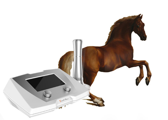 الأوتار إصابة الخيول بالمستخدمين آلة / جهاز بالمستخدمين الصدمة جهاز العلاج