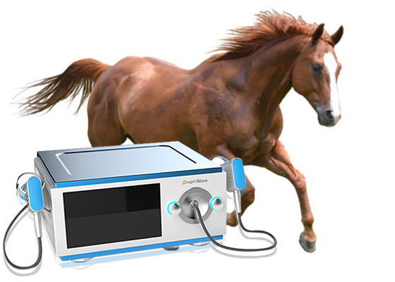 وركزت الارسال الحصان بالمستخدمين آلة العلاج لآلام الظهر الحصان