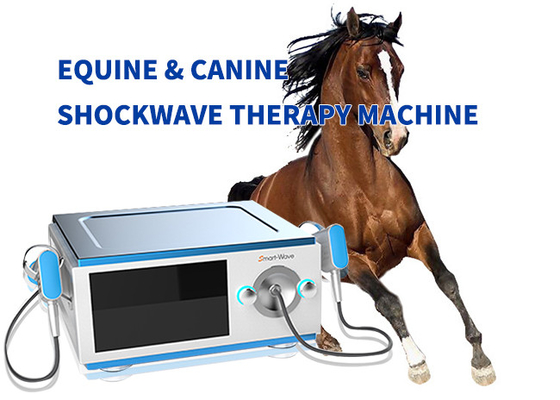 Smartwave BS-SWT5000 معدات معالجة الموجة الصاعدة للخيول منخفضة الضوضاء في الخيول
