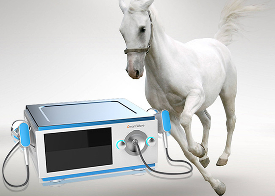 ألم يقلل من انخفاض الضوضاء بالمستخدمين آلة الحصان للخيول الجهاز الطبي
