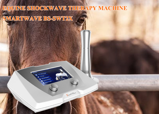 عيادة العلاج بالموجات الصدمية الحصان 1 - 22 هرتز التردد لمرض الرباط المعلق