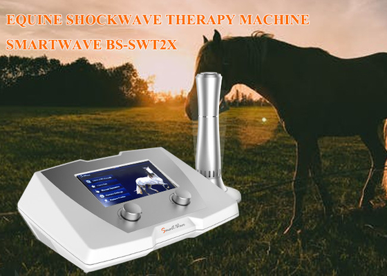 عيادة العلاج بالموجات الصدمية الحصان 1 - 22 هرتز التردد لمرض الرباط المعلق