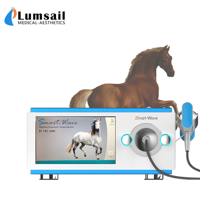الحيوانات الصغيرة المادية شعاعي الخيول بالمستخدمين آلة بالمستخدمين لعلاج الخيول