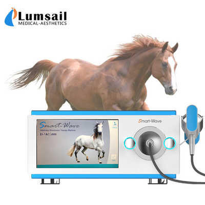 العلاج الطبيعي آلة العلاج بالموجات الصدمية سباق الخيول