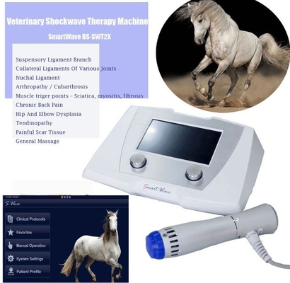 موجة النبض الشعاعي البيطري ESWT Equine Shockwave Machine Therapy Device للخيول