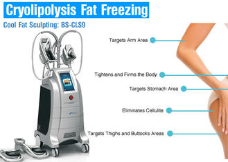 Cryo تجميد Cryolipolysis الجسم التخسيس آلة ، معدات تخفيض الوزن