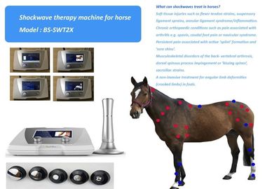 فرسي صوتي علاج آلام الحيوانات بالمستخدمين نظام العلاج 1-22Hz نقطة العلاج الزناد