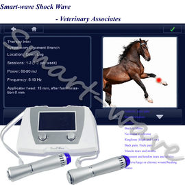 البيطرية الطبية آلة الخيول بالمستخدمين للحصول على اعتلال الأوتار الرضفي