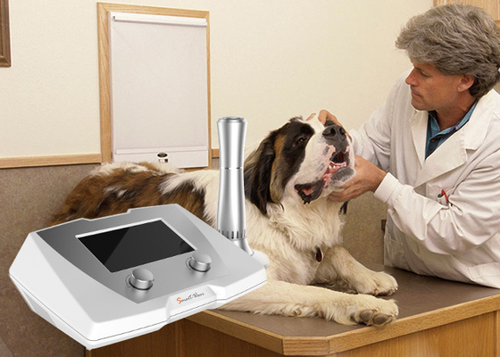 استخدام البيطري تأخر كسور الشفاء علاج الخيول / الكلاب بالمستخدمين آلة العلاج