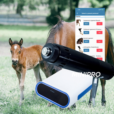 آلة الموجات الصدمية Ems المحمولة لعلاج الخيول مع المولد الكهرومغناطيسي